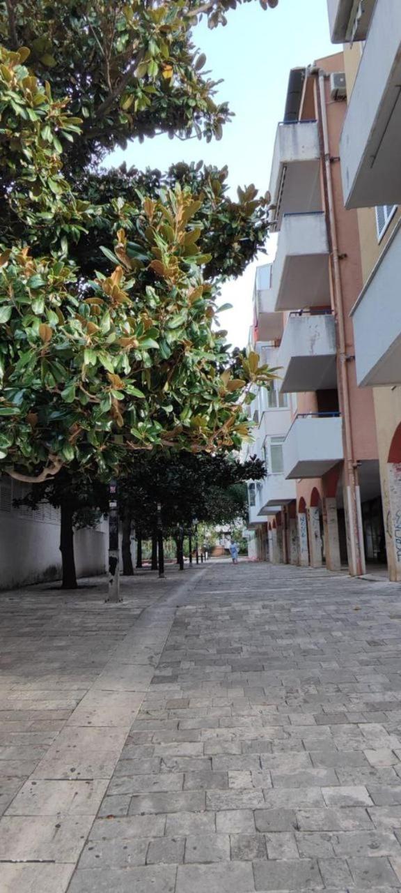 Koda 2 Budva